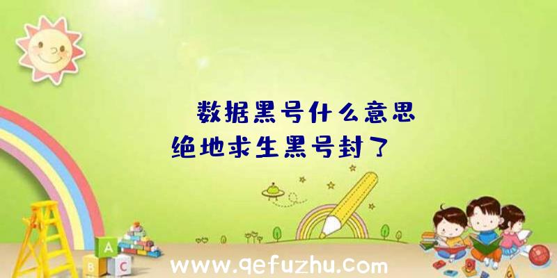 「pubg数据黑号什么意思」|绝地求生黑号封了